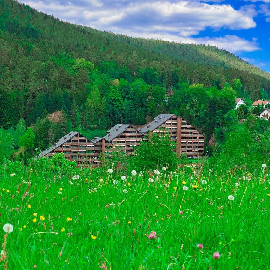 Ferienwohnung Guenter Im Tonbachtal Baiersbronn Kültér fotó